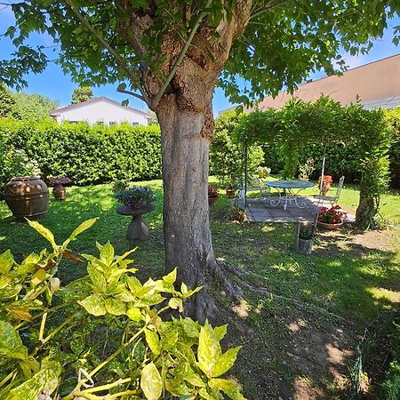 B&B Casa Tessieri 卢卡 外观 照片