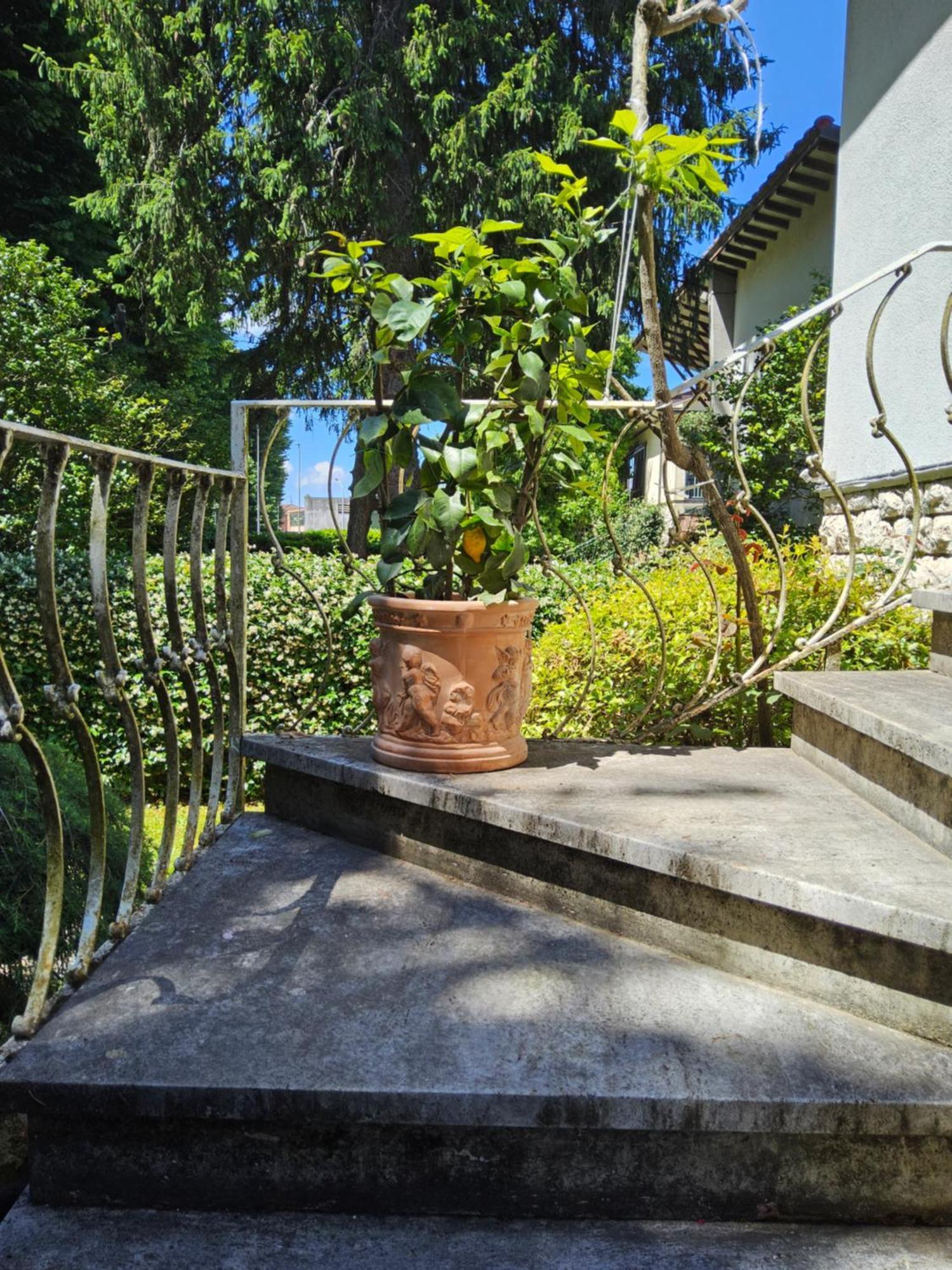 B&B Casa Tessieri 卢卡 外观 照片